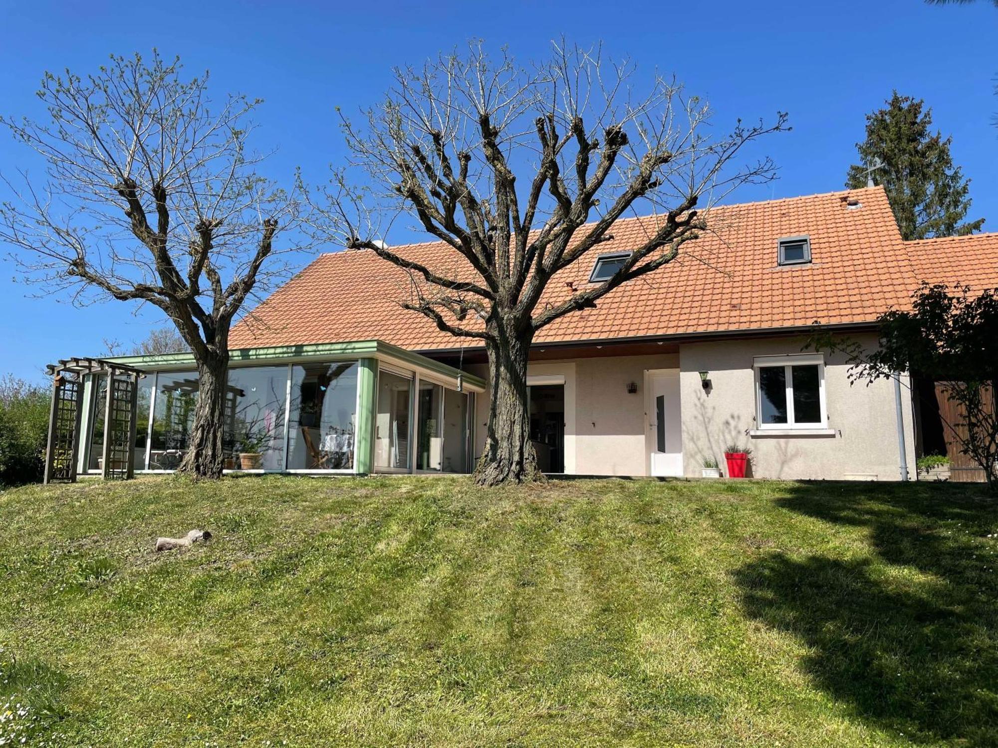 Des Roux Et Des Pious Suite De 35 A 60 M2 Et 3 Chambres Pour Groupe De 2 A 6 Personnes Civray-de-Touraine Exterior foto